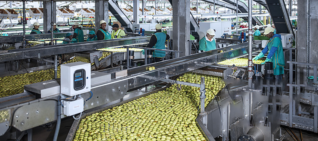 Food Factory Supervision System by Using KingTop Body Worn Camera